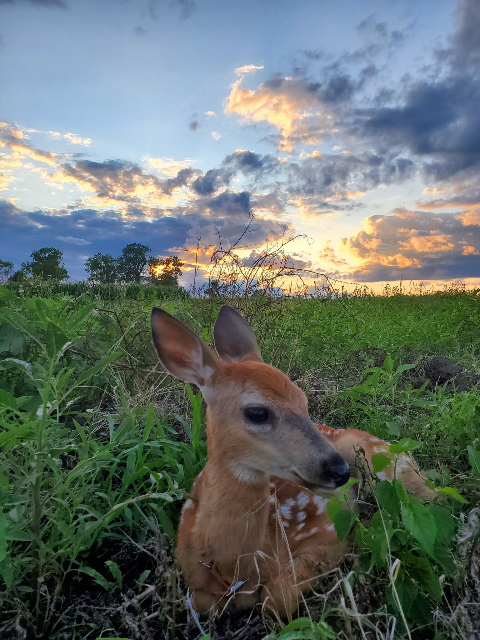 All of our animals have a story. We have given them a home to make sure that they live out their natural life in the most humane way possible.&nbsp;